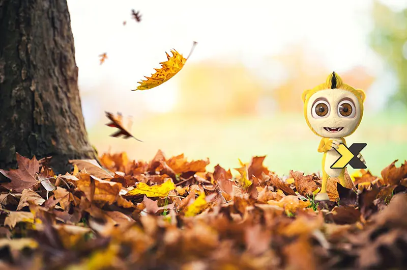 Axel-autumn.jpg)