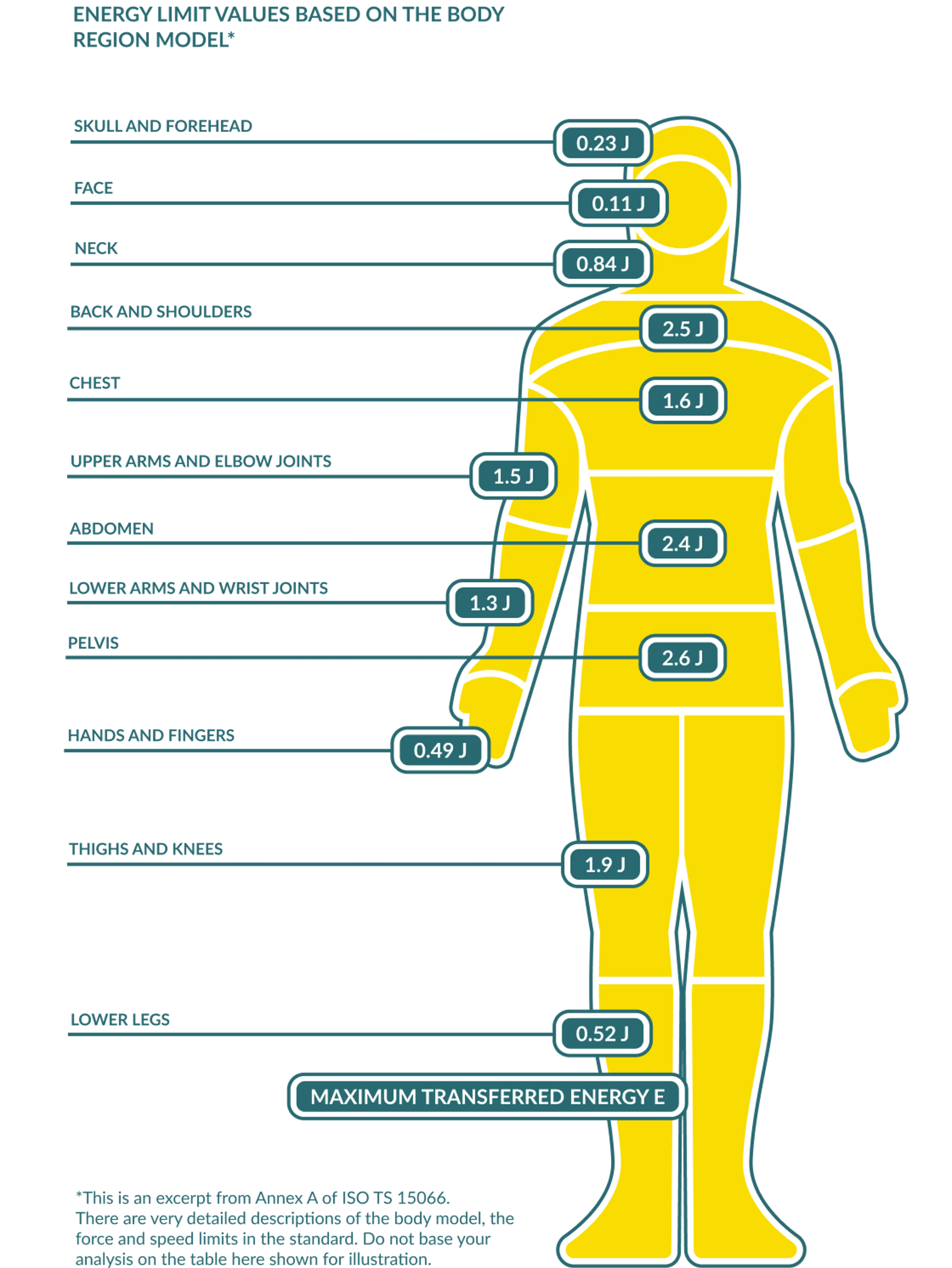 Energy limit values based on the body region model